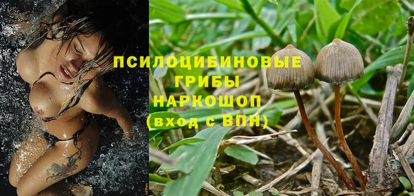 СК Белокуриха