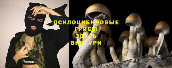 дживик Богородицк