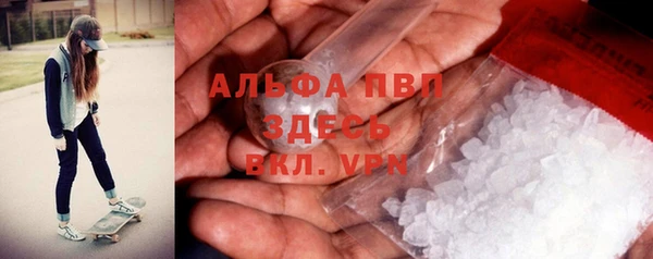 дживик Богородицк