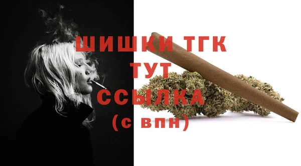 дживик Богородицк