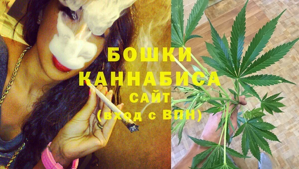 дживик Богородицк