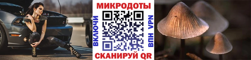 Псилоцибиновые грибы GOLDEN TEACHER  закладка  Хотьково 